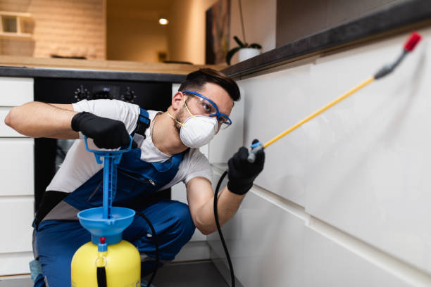 Best Exterminator Services  in Marseles, IL