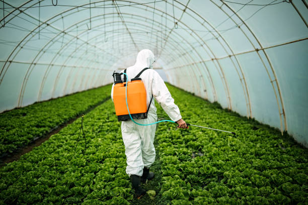 Best Pest Control Near Me  in Marseles, IL