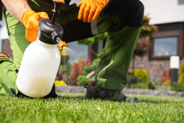 Best Emergency Pest Control  in Marseles, IL