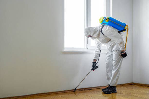Best Flea Control Services  in Marseles, IL