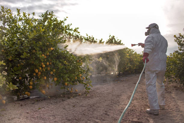 Best Pest Control Near Me in Marseilles, IL