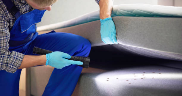 Best Pest Removal Services  in Marseles, IL