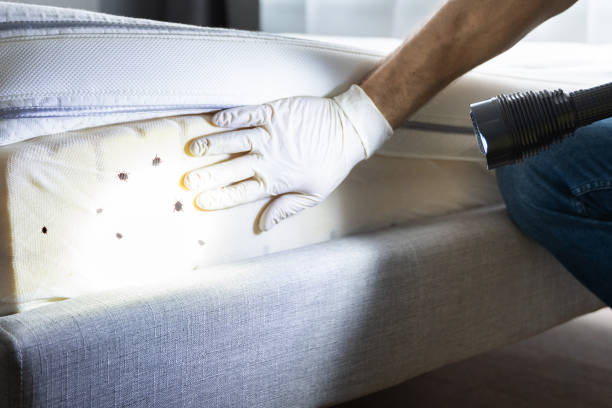Best Local Pest Control Services  in Marseles, IL