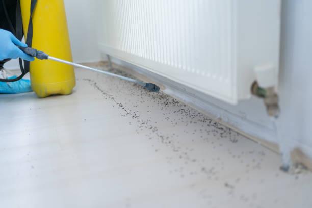 Best Pest Prevention Services  in Marseles, IL