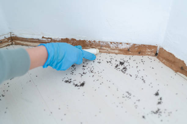 Best Termite Control Services  in Marseles, IL