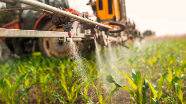 Best Pest Inspection Near Me  in Marseles, IL